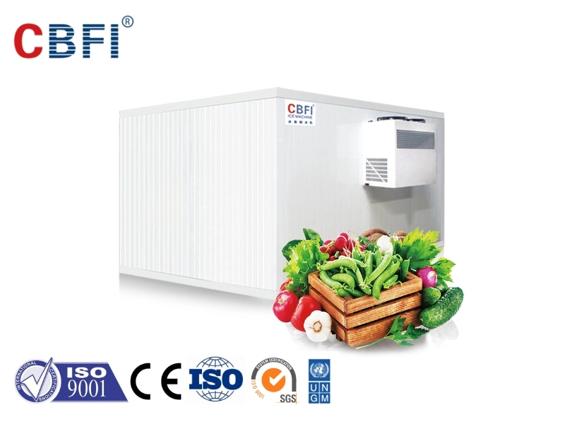 Холодильная камера CBFI для фруктов и овощей
