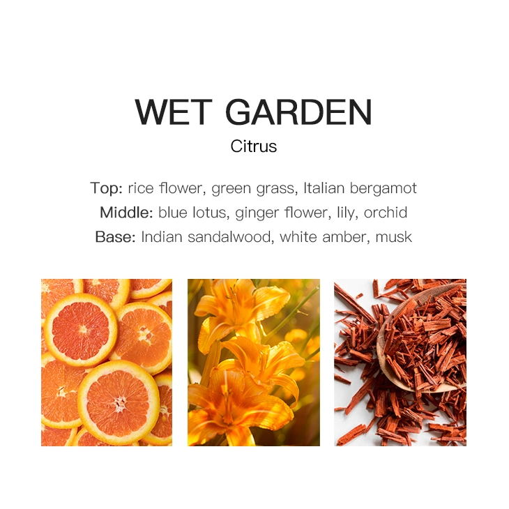Ароматное масло с эфирным ароматом воздуха Wet Garden Floral Fragrance
