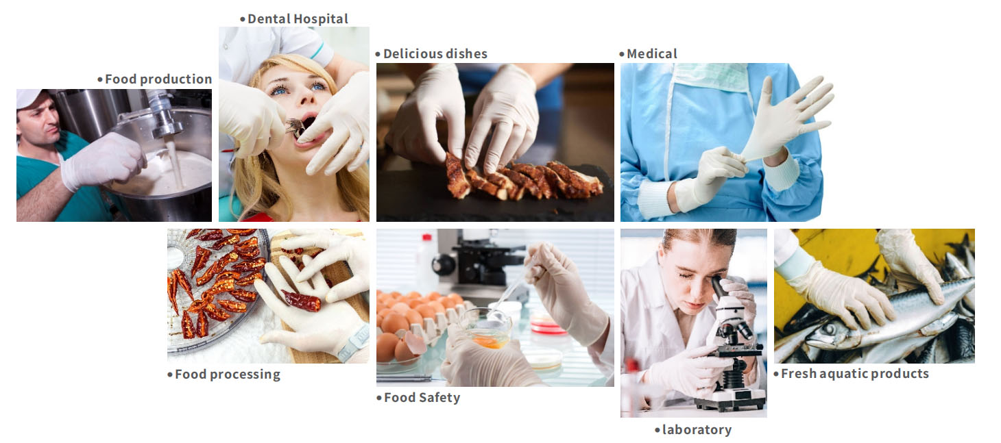 Latex Medical Examination Gloves Scope of application
