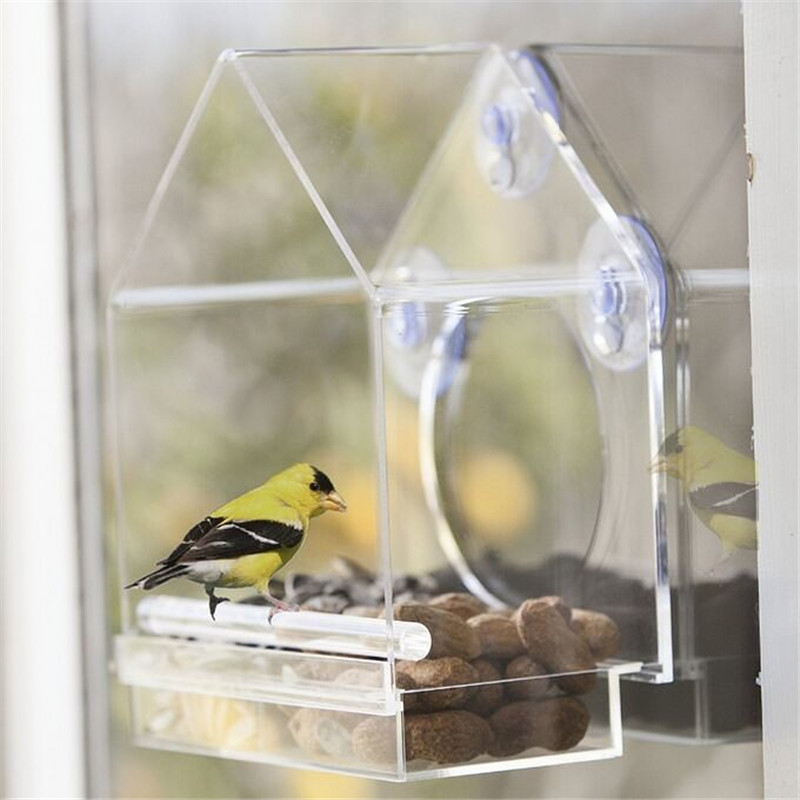 custom acrylic bird cage