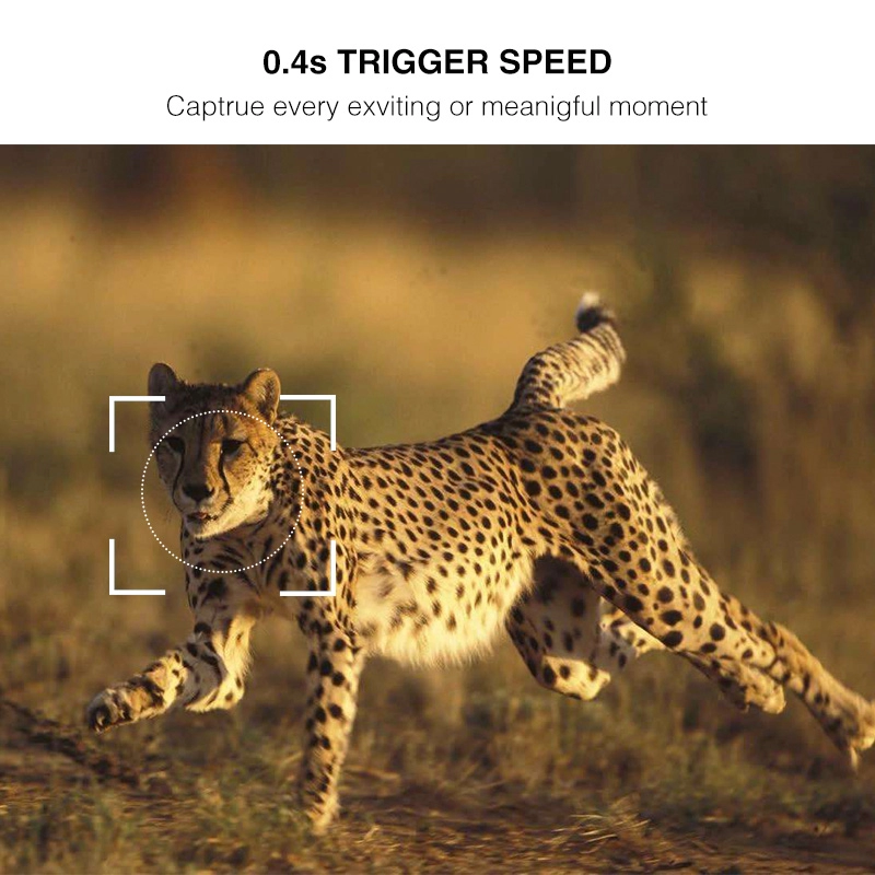 Камера для охоты на дикую природу 4K UHD Video 30MP