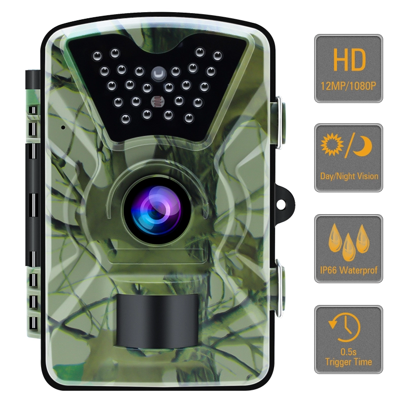 Trail Cameras No Glow Night Version для начального уровня