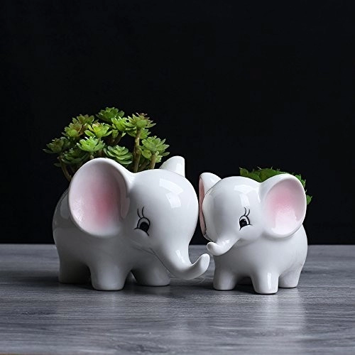 Керамические 2шт слон современные белые сочные кашпо горшки животных декор