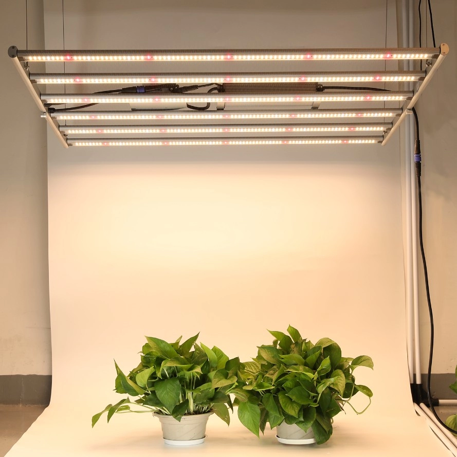 Складные светодиодные светильники для выращивания овощей мощностью 600 Вт с внешним драйвером
