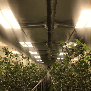 Водонепроницаемый IP65 Внутренний высокоэффективный светодиодный светильник для роста растений
