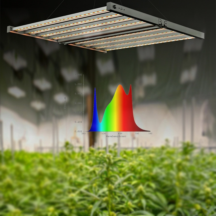 Светодиодный светильник для выращивания конопли мощностью 800 Вт для выращивания комнатных растений