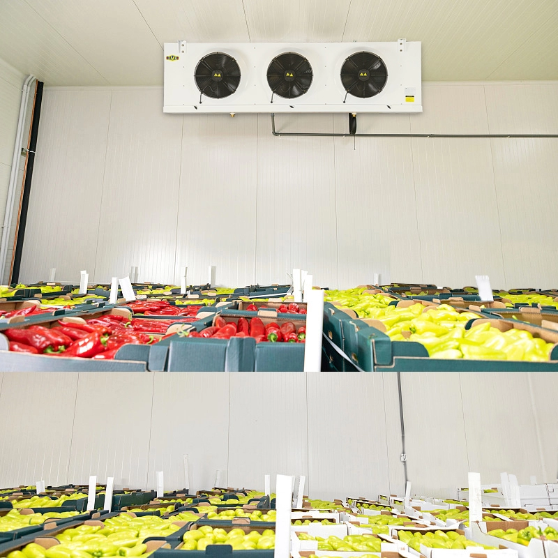 Холодильное хранилище для овощей и фруктов Испаритель-охладитель 9,18 кВт