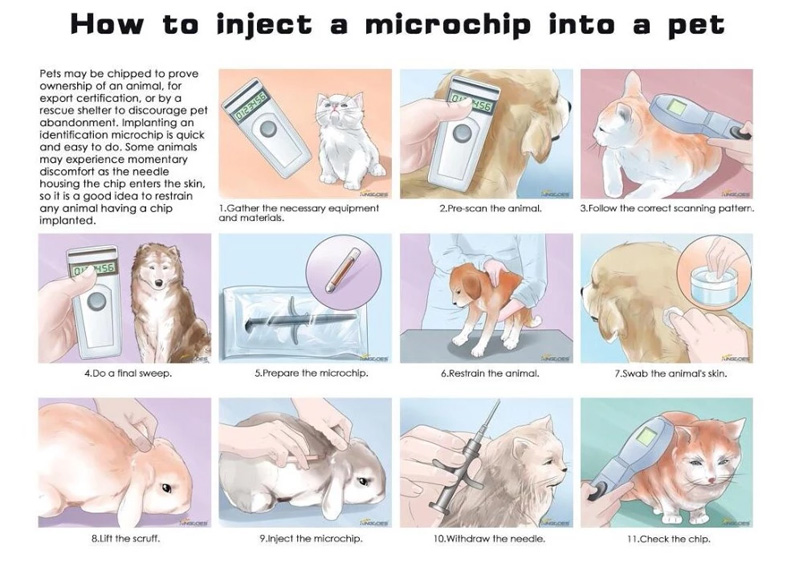 Внедрить RFID-метки микрочипа в домашнее животное