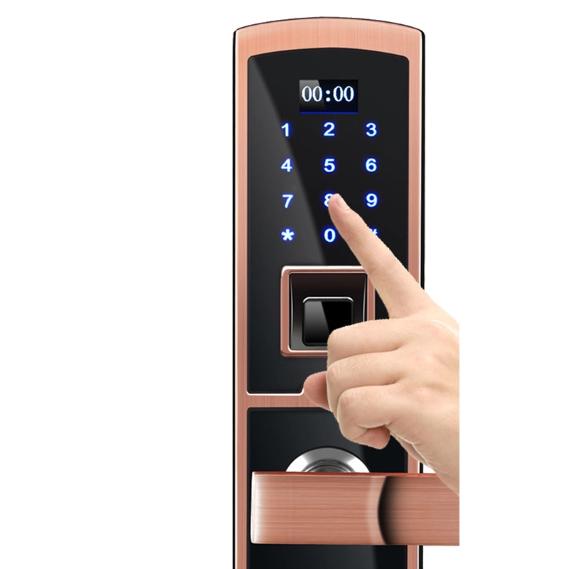Биометрический дверной замок с отпечатками пальцев